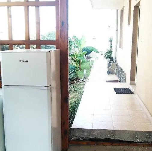 招待所 D. Bogdanova