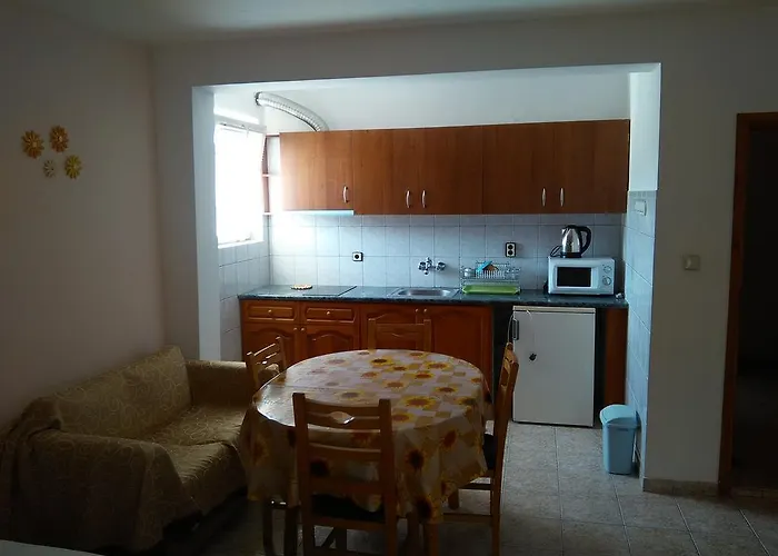 招待所 D. Bogdanova