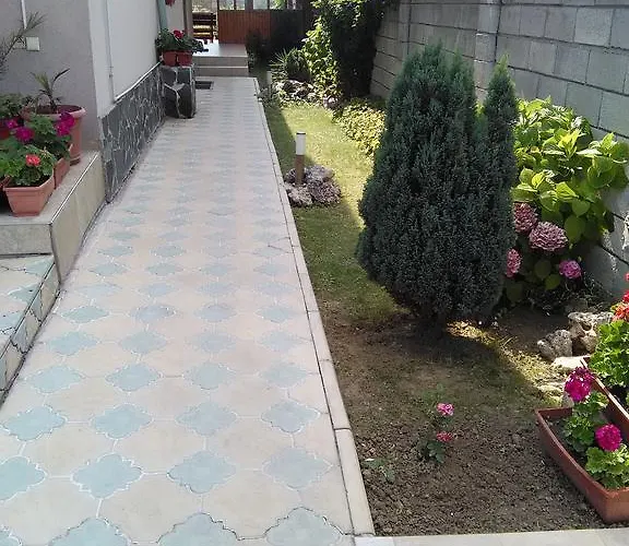 招待所 D. Bogdanova