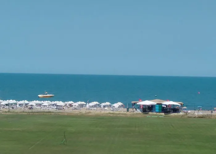 招待所 D. Bogdanova